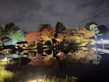 国営昭和記念公園 秋の夜散歩に投稿された画像（2025/11/5）