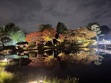 国営昭和記念公園 秋の夜散歩に投稿された画像（2025/11/5）