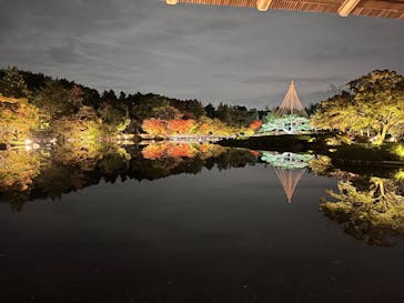 国営昭和記念公園 秋の夜散歩に投稿された画像（2025/11/5）