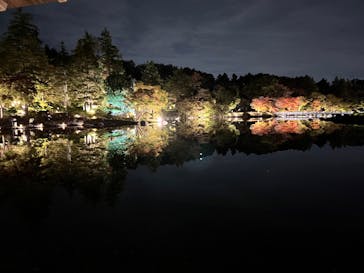 国営昭和記念公園 秋の夜散歩に投稿された画像（2025/11/5）