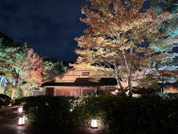 国営昭和記念公園 秋の夜散歩に投稿された画像（2025/11/5）
