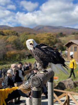 那須どうぶつ王国に投稿された画像（2025/11/5）