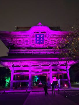 ZEN NIGHT WALK KAMAKURAに投稿された画像（2025/11/5）