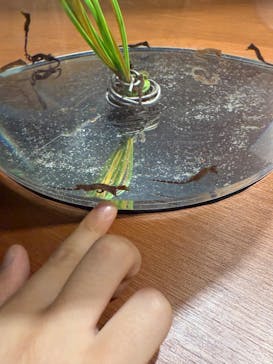 仙台うみの杜水族館に投稿された画像（2025/11/5）