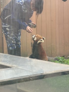 横浜・八景島シーパラダイスに投稿された画像（2025/11/5）