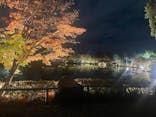 国営昭和記念公園 秋の夜散歩に投稿された画像（2025/11/5）