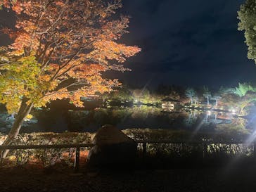 国営昭和記念公園 秋の夜散歩に投稿された画像（2025/11/5）