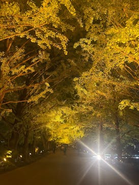 国営昭和記念公園 秋の夜散歩に投稿された画像（2025/11/5）