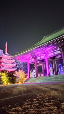 博多ライトアップウォーク実行委員会に投稿された画像（2025/11/5）