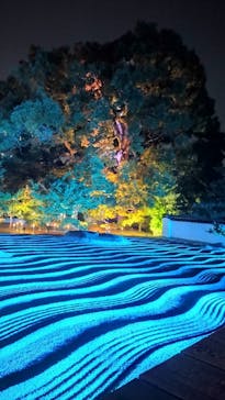 博多ライトアップウォーク実行委員会に投稿された画像（2025/11/5）