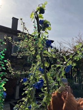 箱根ガラスの森美術館に投稿された画像（2025/11/5）