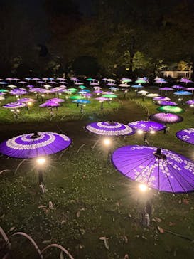 国営昭和記念公園 秋の夜散歩に投稿された画像（2025/11/5）