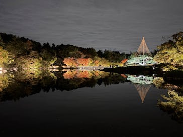 国営昭和記念公園 秋の夜散歩に投稿された画像（2025/11/5）