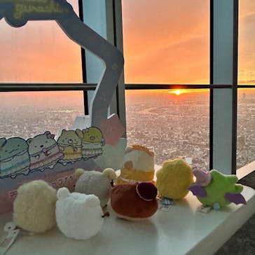 ハルカス300(展望台)に投稿された画像（2025/11/5）