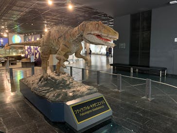 福井県立恐竜博物館に投稿された画像（2025/11/5）