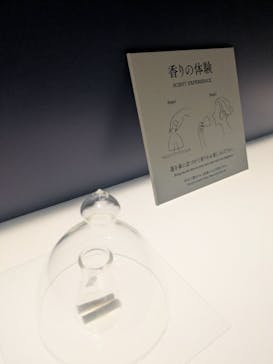 正倉院 THE SHOW ―感じる。いま、ここにある奇跡―　@上野の森美術館に投稿された画像（2025/11/5）