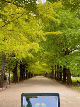 国営昭和記念公園 秋の夜散歩に投稿された画像（2025/11/6）