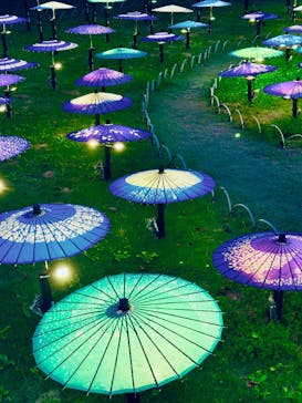 国営昭和記念公園 秋の夜散歩に投稿された画像（2025/11/6）