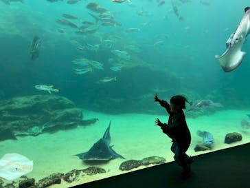 九十九島パールシーリゾートに投稿された画像（2025/11/6）