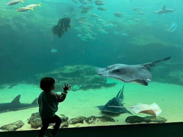 九十九島パールシーリゾートに投稿された画像（2025/11/6）