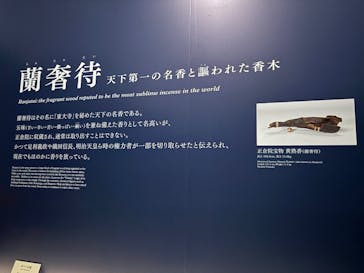 正倉院 THE SHOW ―感じる。いま、ここにある奇跡―　@上野の森美術館に投稿された画像（2025/11/6）