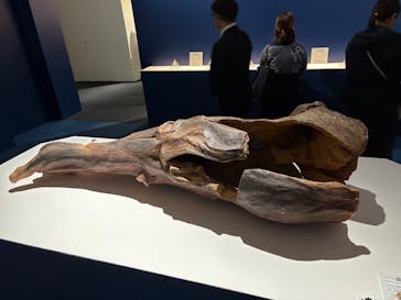 正倉院 THE SHOW ―感じる。いま、ここにある奇跡―　@上野の森美術館に投稿された画像（2025/11/6）