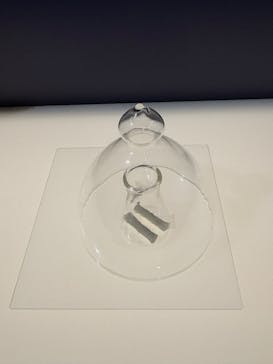 正倉院 THE SHOW ―感じる。いま、ここにある奇跡―　@上野の森美術館に投稿された画像（2025/11/6）