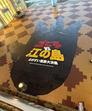 新江ノ島水族館に投稿された画像（2025/11/6）