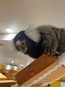 アニタッチ 東京ドームシティに投稿された画像（2025/11/6）