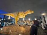 福井県立恐竜博物館に投稿された画像（2025/11/6）