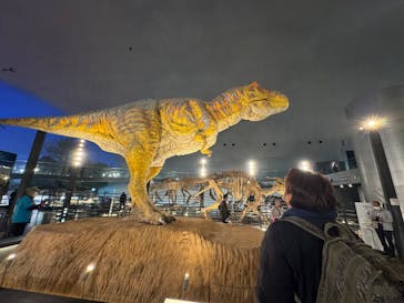福井県立恐竜博物館に投稿された画像（2025/11/6）