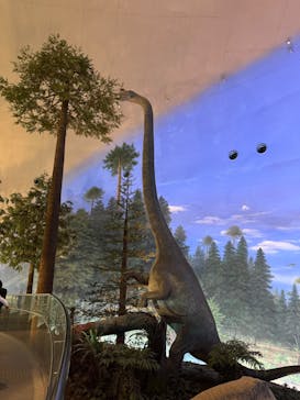 福井県立恐竜博物館に投稿された画像（2025/11/6）