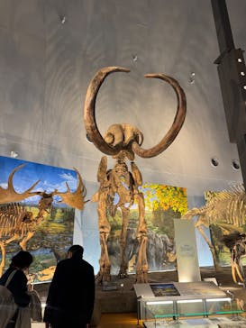 福井県立恐竜博物館に投稿された画像（2025/11/6）