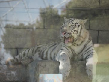 東武動物公園に投稿された画像（2025/11/6）