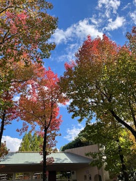 万博記念公園に投稿された画像（2025/11/6）