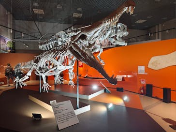 特別展「大絶滅展―生命史のビッグファイブ」に投稿された画像（2025/11/6）