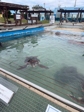 南知多ビーチランド＆南知多おもちゃ王国に投稿された画像（2025/11/6）