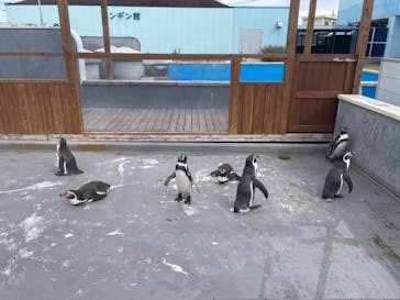 南知多ビーチランド＆南知多おもちゃ王国に投稿された画像（2025/11/6）