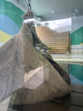 南知多ビーチランド＆南知多おもちゃ王国に投稿された画像（2025/11/6）