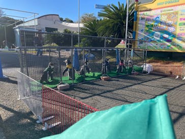 南知多ビーチランド＆南知多おもちゃ王国に投稿された画像（2025/11/6）