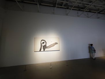 金沢21世紀美術館に投稿された画像（2025/11/6）