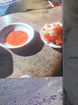 特別展「大絶滅展―生命史のビッグファイブ」に投稿された画像（2025/11/6）