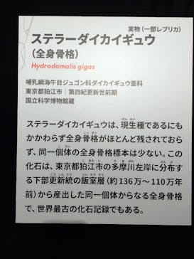 特別展「大絶滅展―生命史のビッグファイブ」に投稿された画像（2025/11/6）