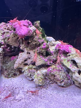 マクセル アクアパーク品川に投稿された画像（2025/11/6）