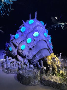 金曜ロードショーとジブリ展（静岡展）に投稿された画像（2025/11/6）