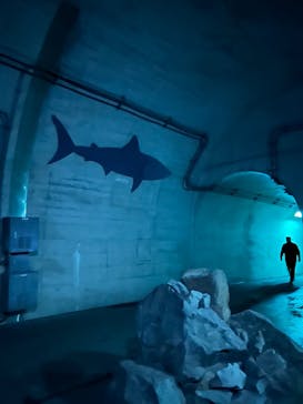 清津峡渓谷トンネルに投稿された画像（2025/11/6）