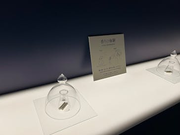 正倉院 THE SHOW ―感じる。いま、ここにある奇跡―　@上野の森美術館に投稿された画像（2025/11/6）