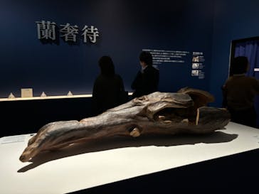 正倉院 THE SHOW ―感じる。いま、ここにある奇跡―　@上野の森美術館に投稿された画像（2025/11/6）