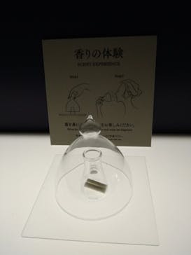 正倉院 THE SHOW ―感じる。いま、ここにある奇跡―　@上野の森美術館に投稿された画像（2025/11/6）