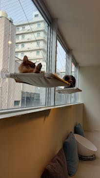 Cat Café MOFF 静岡PARCO店に投稿された画像（2025/11/6）